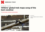 Wilkins’ global trek maps song of the barn swallow