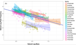 Testing the strength and direction of selection on vocal frequency using metabolic scaling theory