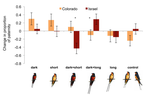 The maintenance of phenotypic divergence through sexual selection: An experimental study in barn swallows Hirundo rustica