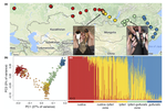Genomic variation across two barn swallow hybrid zones reveals traits associated with divergence in sympatry and allopatry