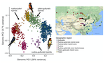 Migratory divides coincide with reproductive barriers across replicated avian hybrid zones above the Tibetan Plateau